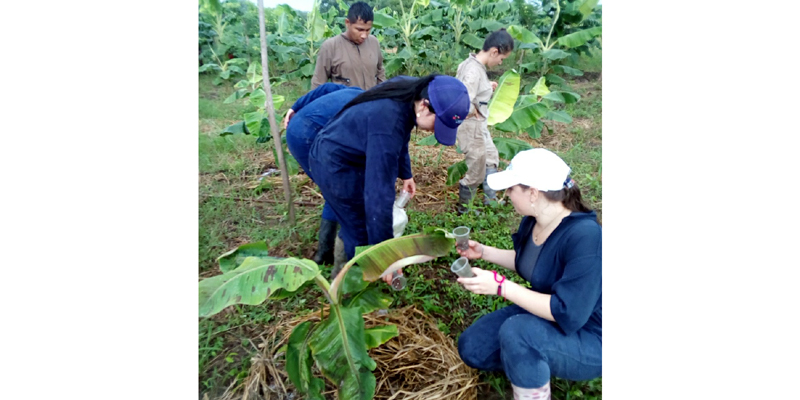 Experiencias agroecológicas de IED de Fosca, elegidas para participar en simposio de investigación e innovación


































