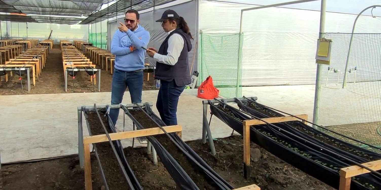 Cundinamarca reforesta para combatir el Cambio Climático 

